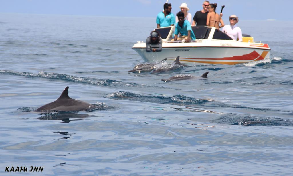 Kaafu Inn Guraidhoo Guraidhoo  Ngoại thất bức ảnh