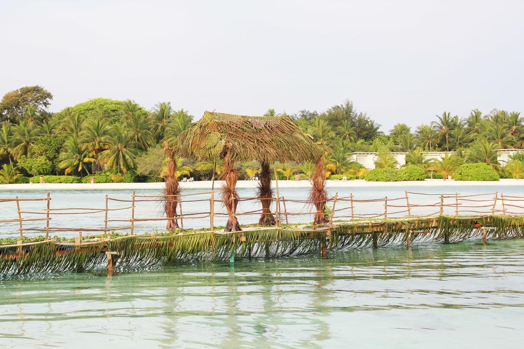 Kaafu Inn Guraidhoo Guraidhoo  Ngoại thất bức ảnh