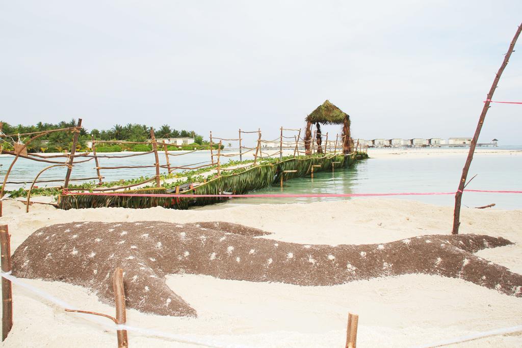 Kaafu Inn Guraidhoo Guraidhoo  Ngoại thất bức ảnh