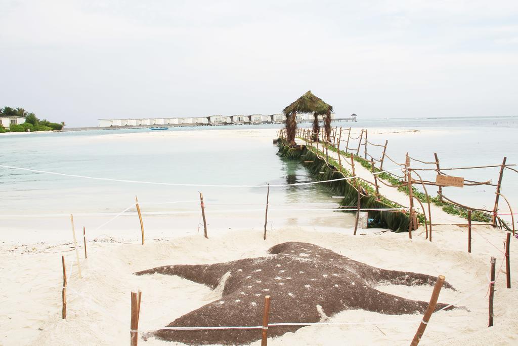 Kaafu Inn Guraidhoo Guraidhoo  Ngoại thất bức ảnh