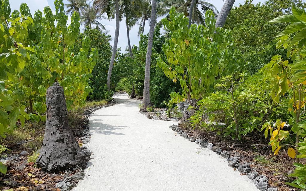 Kaafu Inn Guraidhoo Guraidhoo  Ngoại thất bức ảnh