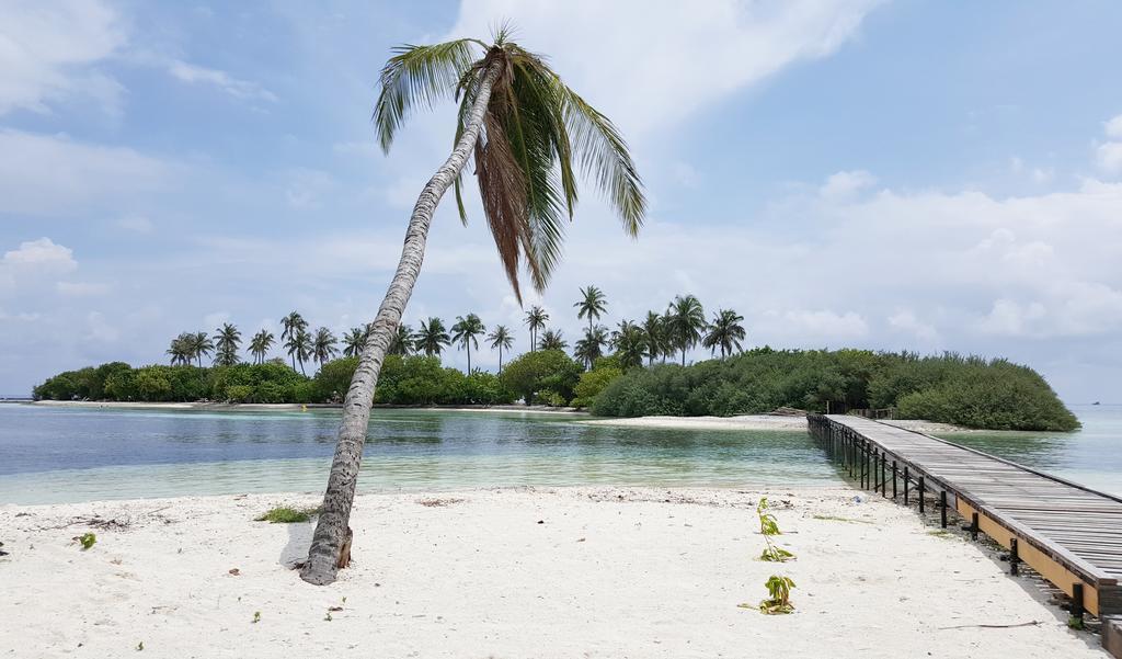 Kaafu Inn Guraidhoo Guraidhoo  Ngoại thất bức ảnh